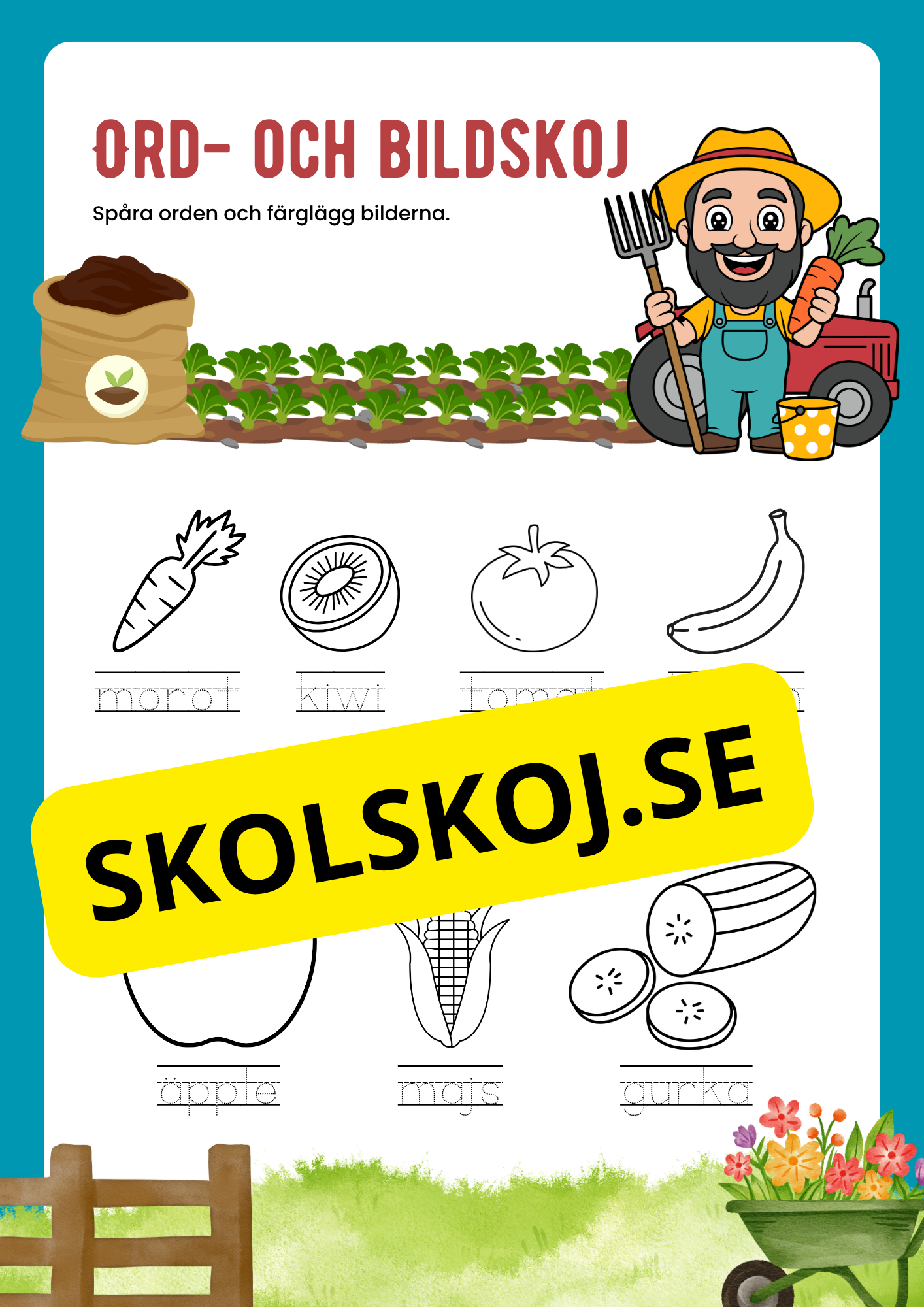 Ord och bildskoj