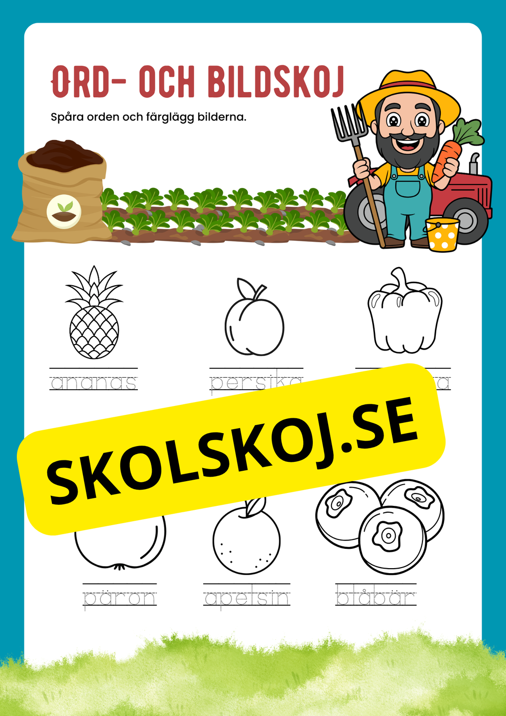 Ord och bildskoj