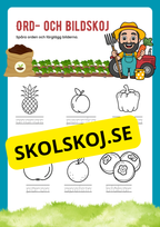 Ord och bildskoj