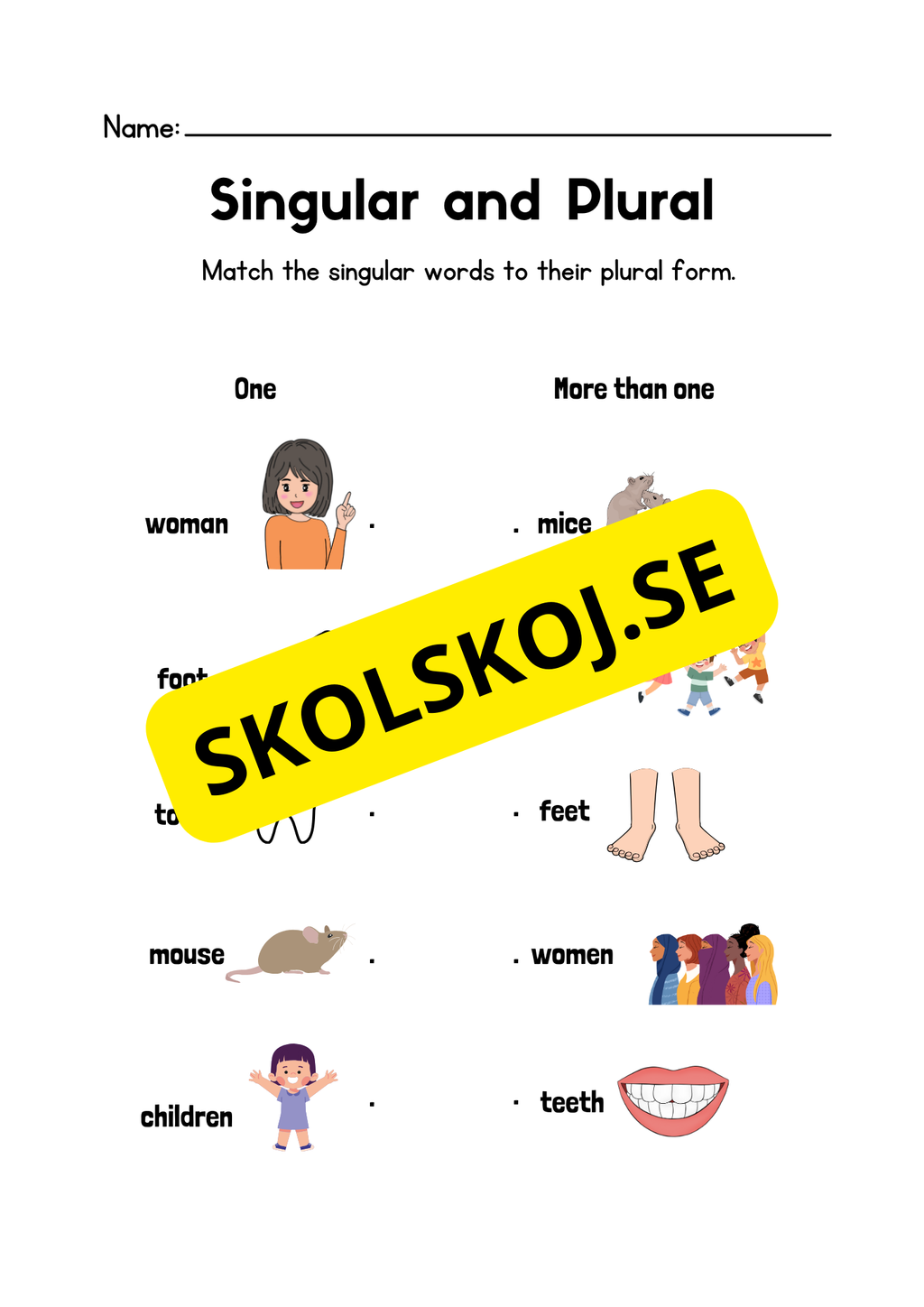 Engelska - Singular and plural