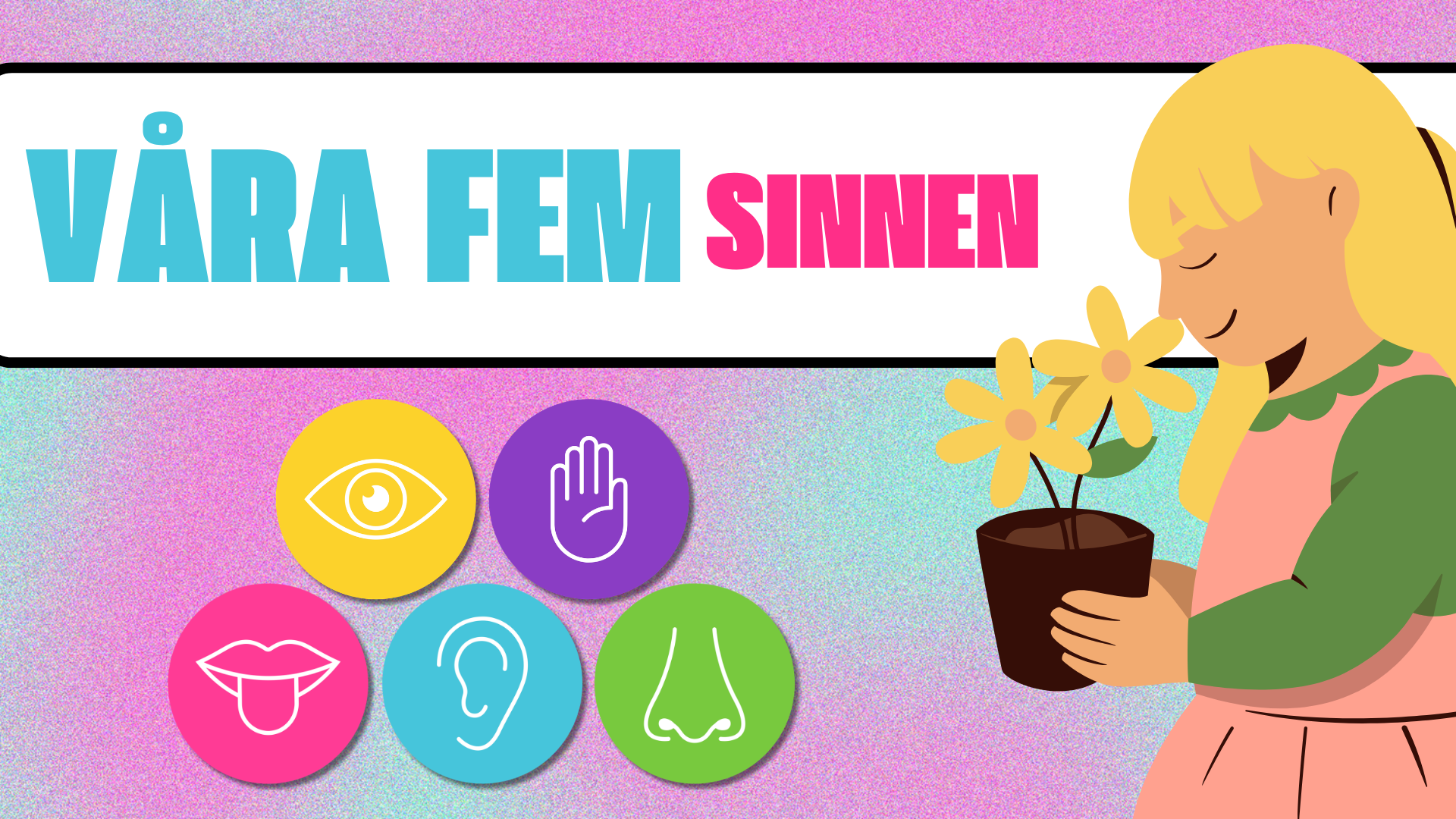 Våra fem sinnen - Presentation