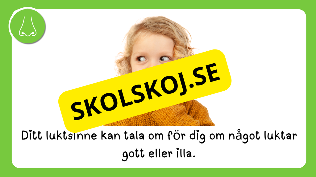 Våra fem sinnen - Presentation