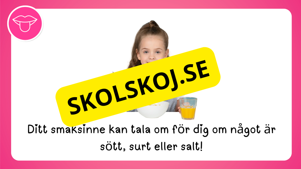Våra fem sinnen - Presentation
