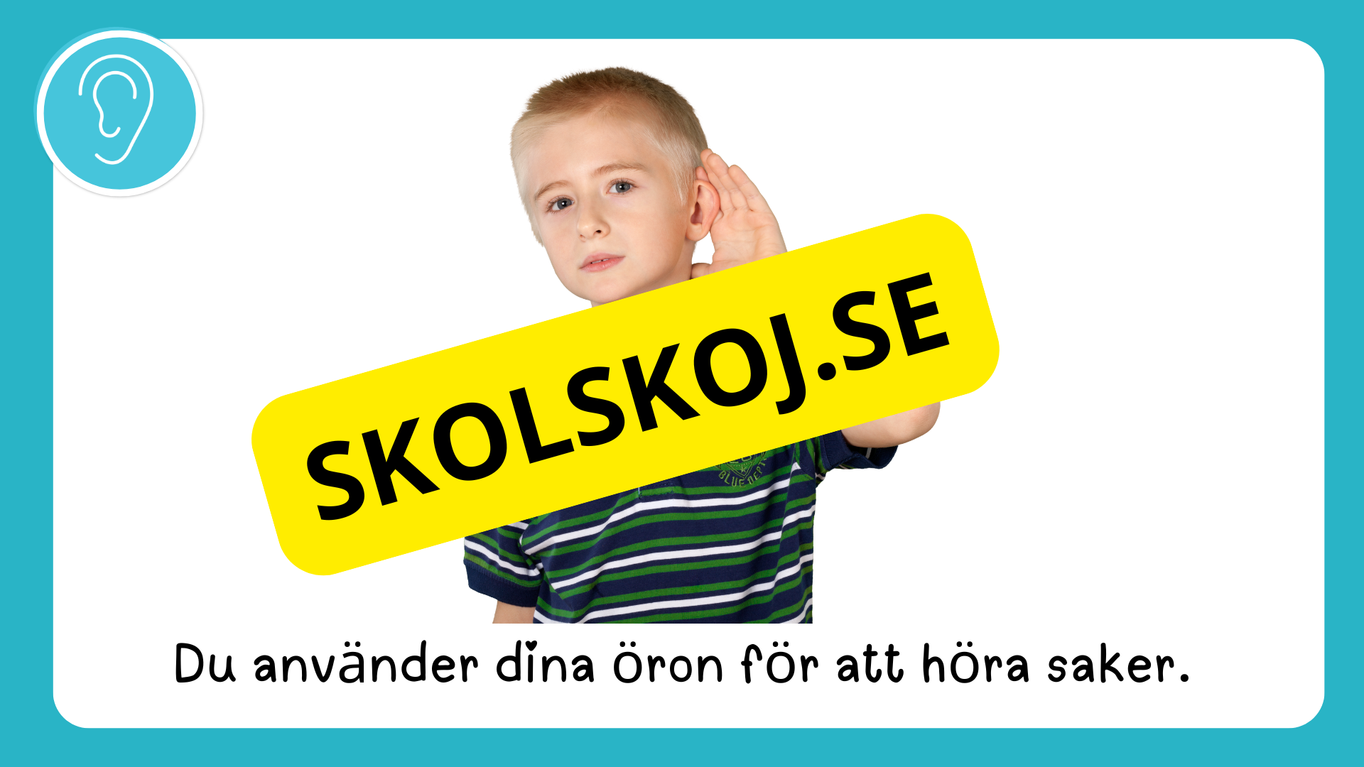 Våra fem sinnen - Presentation