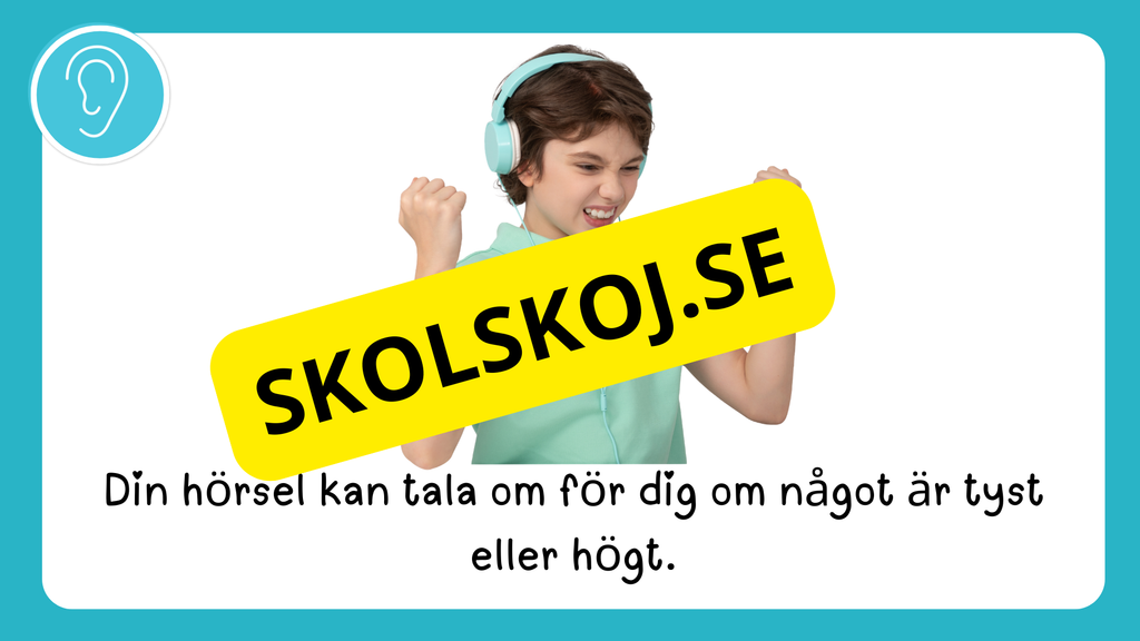 Våra fem sinnen - Presentation