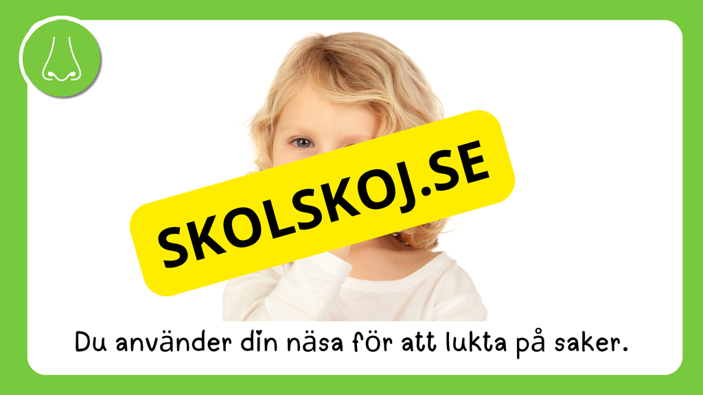 Våra fem sinnen - Presentation