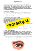 Ljusets magi årskurs 4 - 6