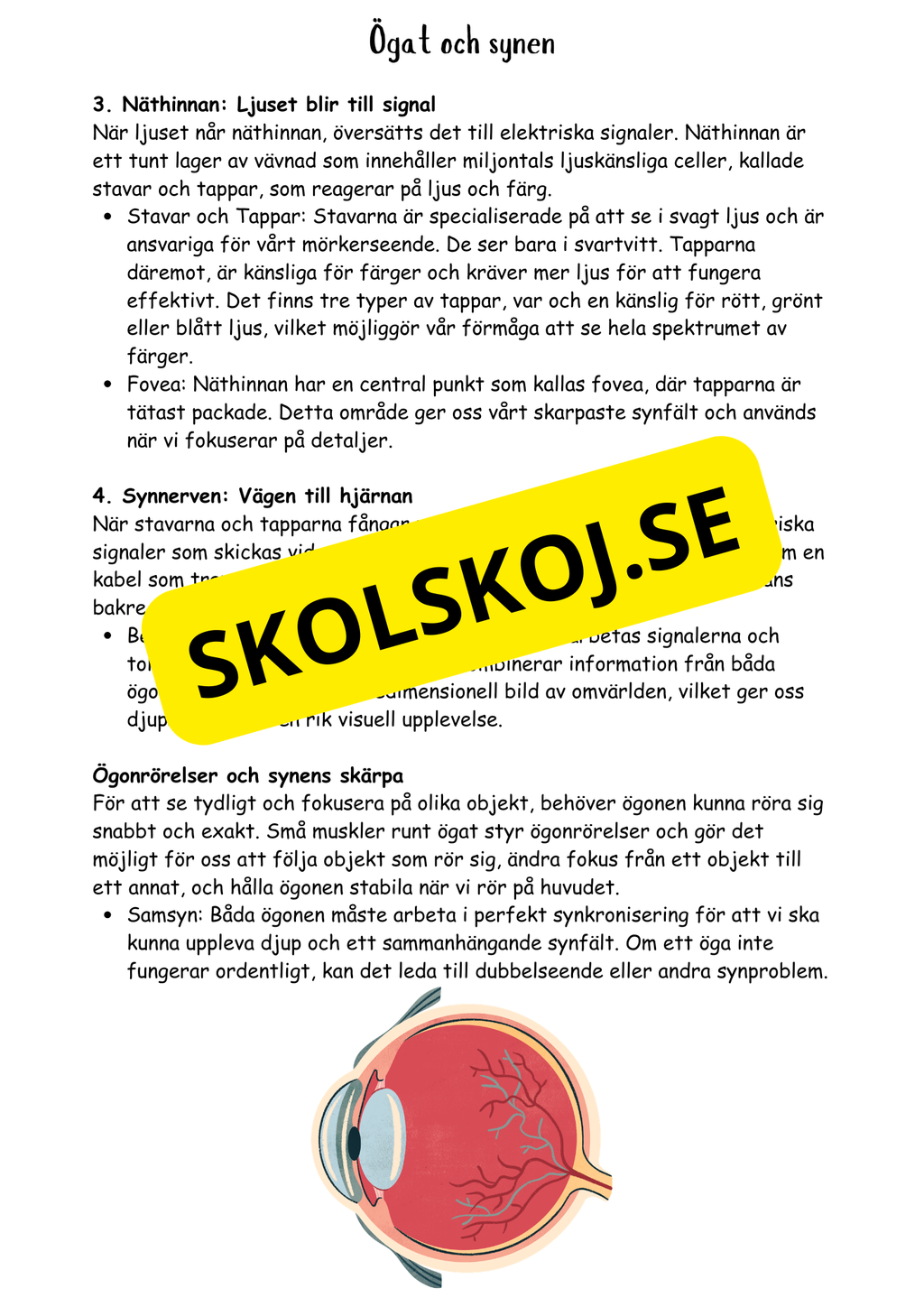 Ljusets magi årskurs 4 - 6