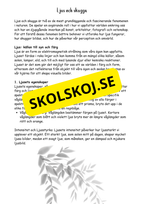 Ljusets magi årskurs 4 - 6
