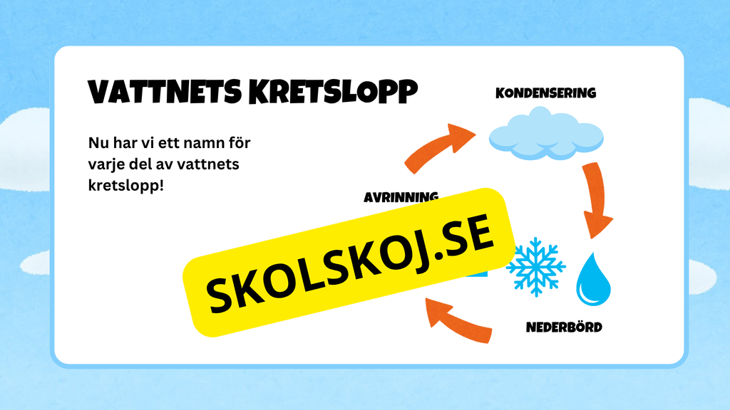 Vattnets kretslopp - Presentation + frågor