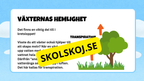 Vattnets kretslopp - Presentation + frågor