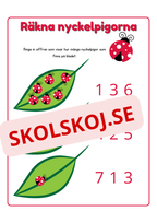 Räkna och rita - Häfte