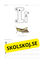 Alfabetet – Jag upptäcker bokstäverna