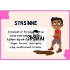 Synsinne - Presentation + Frågor