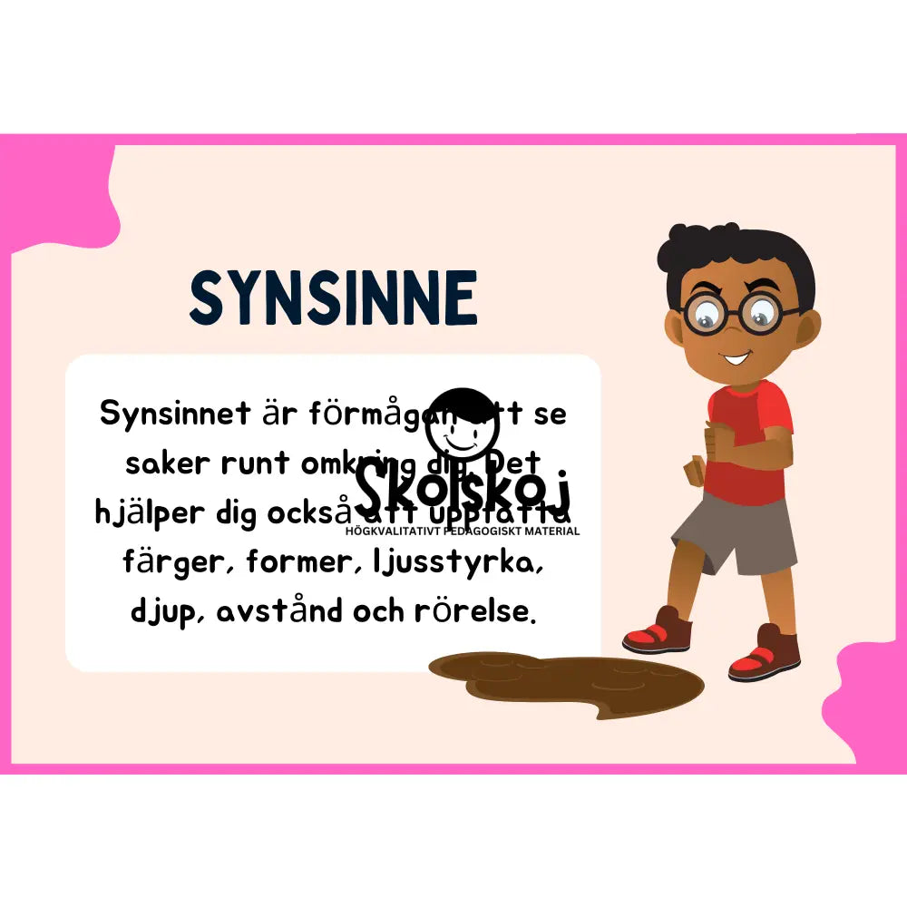 Synsinne - Presentation + Frågor