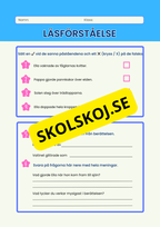 Läsförståelse - Häfte - 5 korta berättelser
