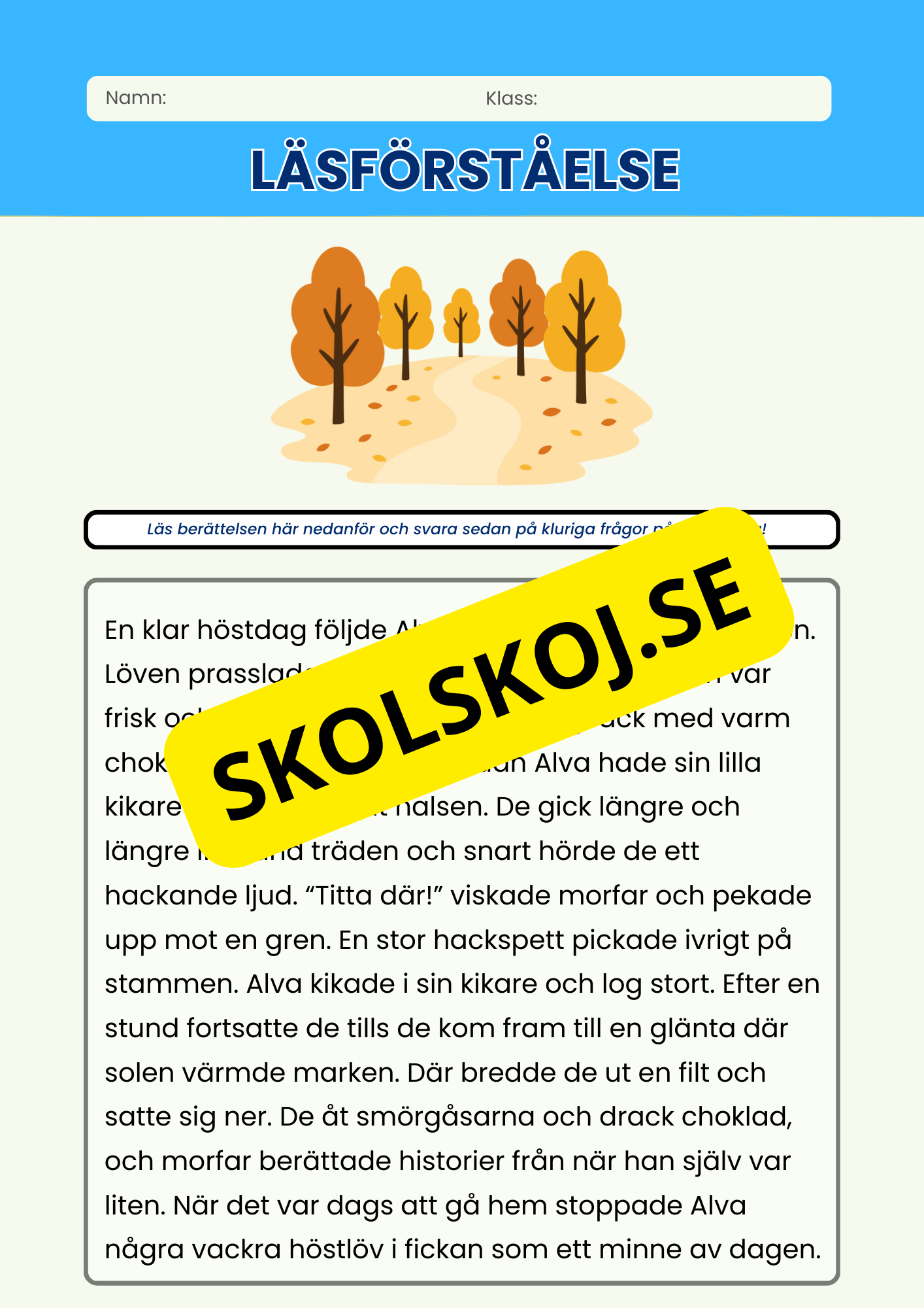 Läsförståelse - Häfte - 5 korta berättelser