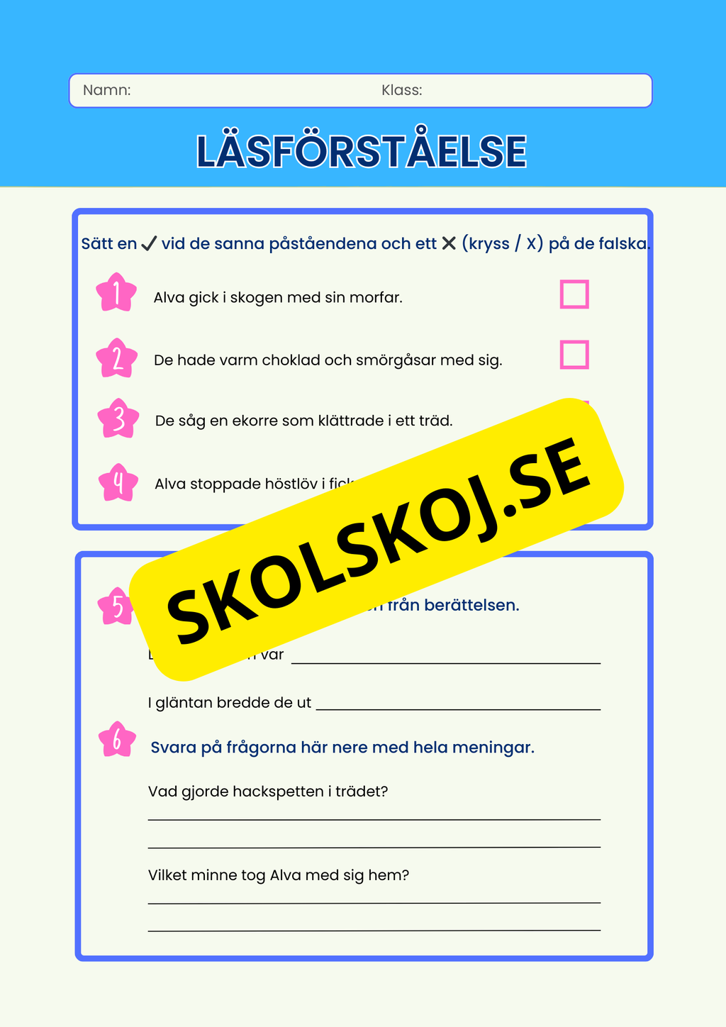 Läsförståelse - Häfte - 5 korta berättelser