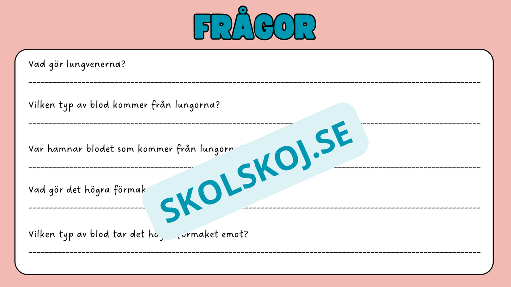 Människohjärtat - Häfte - Åk 7 - 9