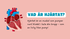 Människohjärtat - Häfte - Åk 7 - 9
