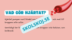 Människohjärtat - Häfte - Åk 7 - 9
