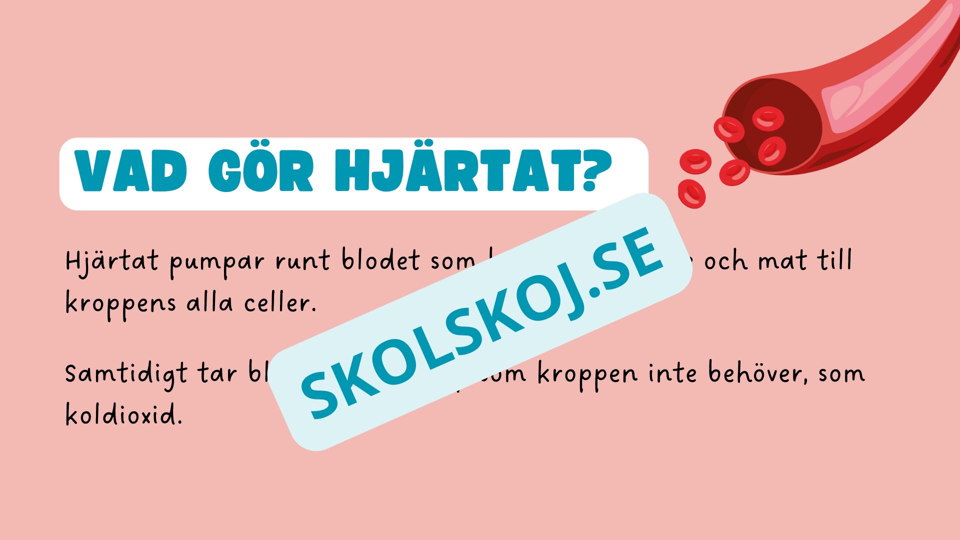Människohjärtat - Häfte - Åk 7 - 9