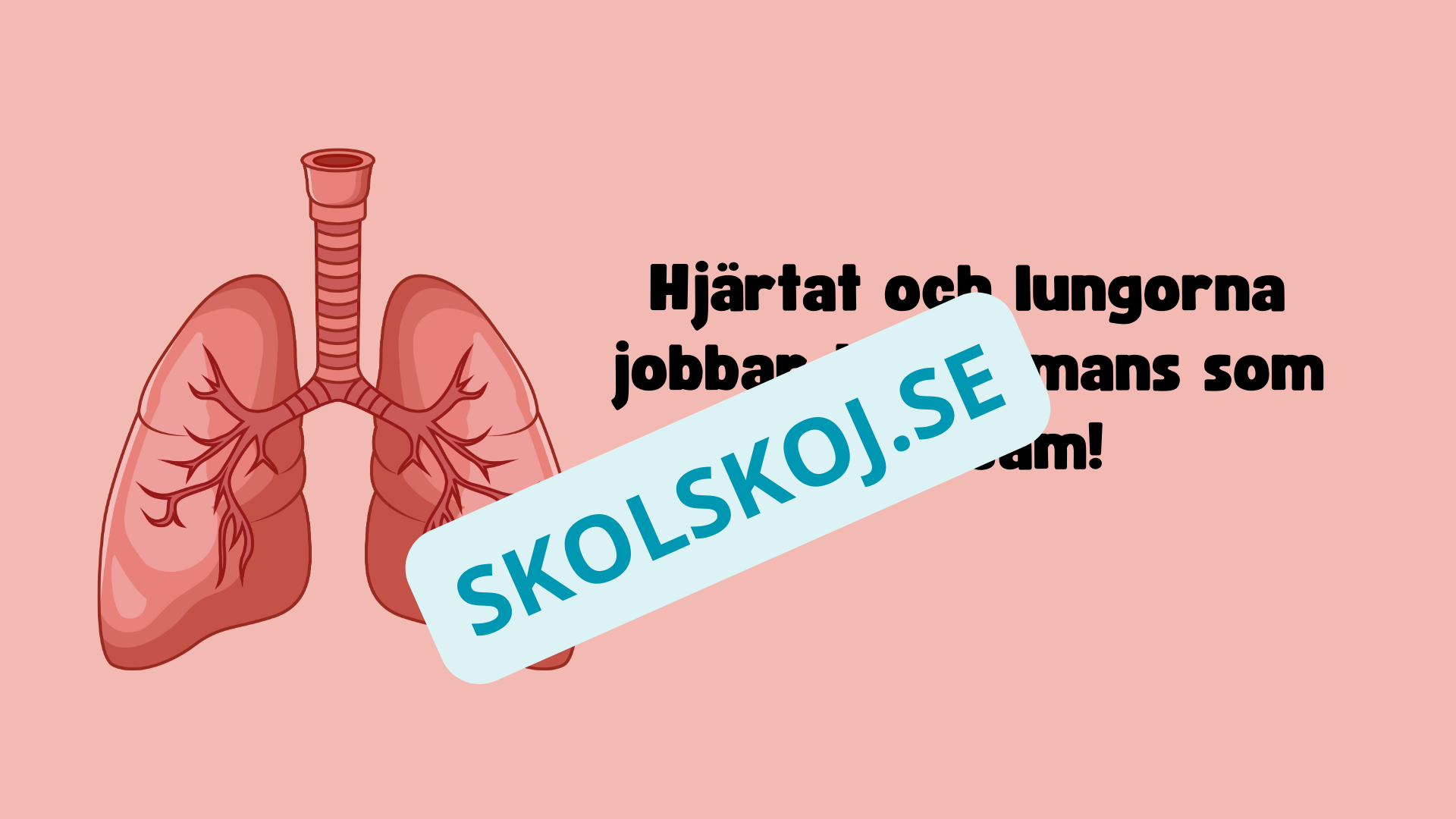 Människohjärtat - Häfte - Åk 7 - 9