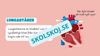Människohjärtat - Häfte - Åk 7 - 9