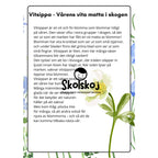 Vårens och sommarens blommor