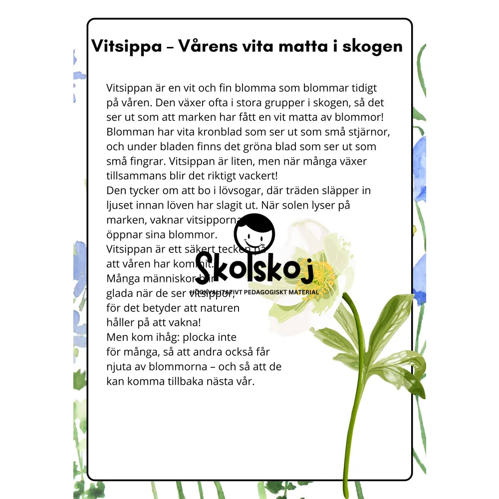 Vårens och sommarens blommor