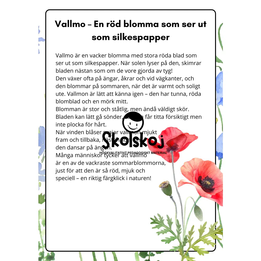 Vårens och sommarens blommor