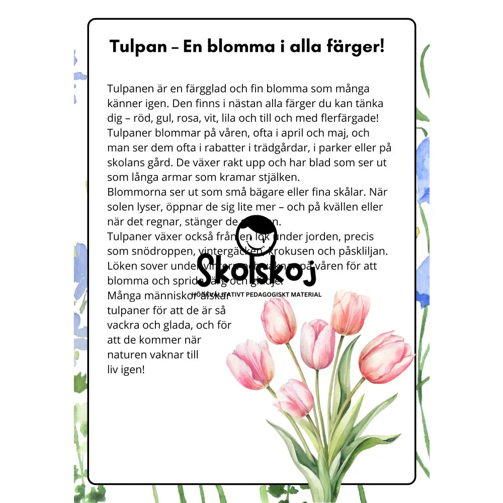 Vårens och sommarens blommor