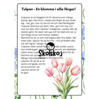 Vårens och sommarens blommor