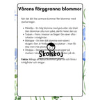 Vårens och sommarens blommor