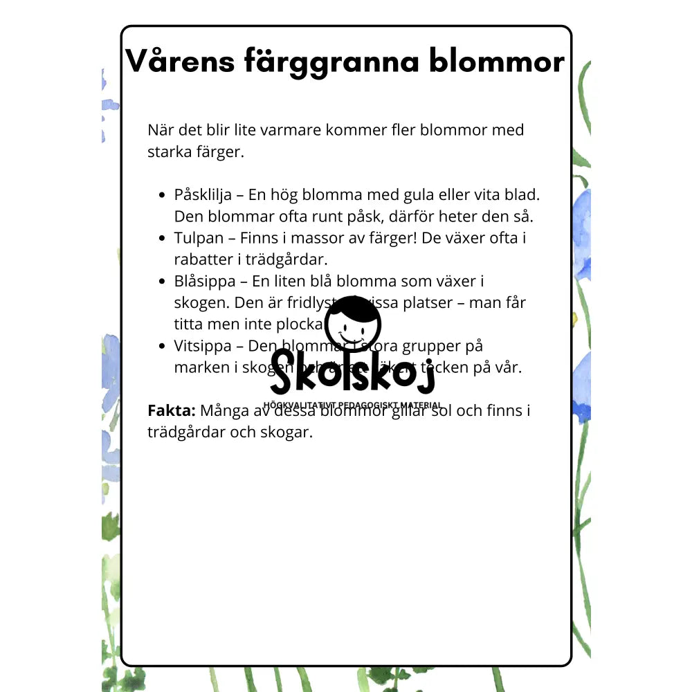 Vårens och sommarens blommor