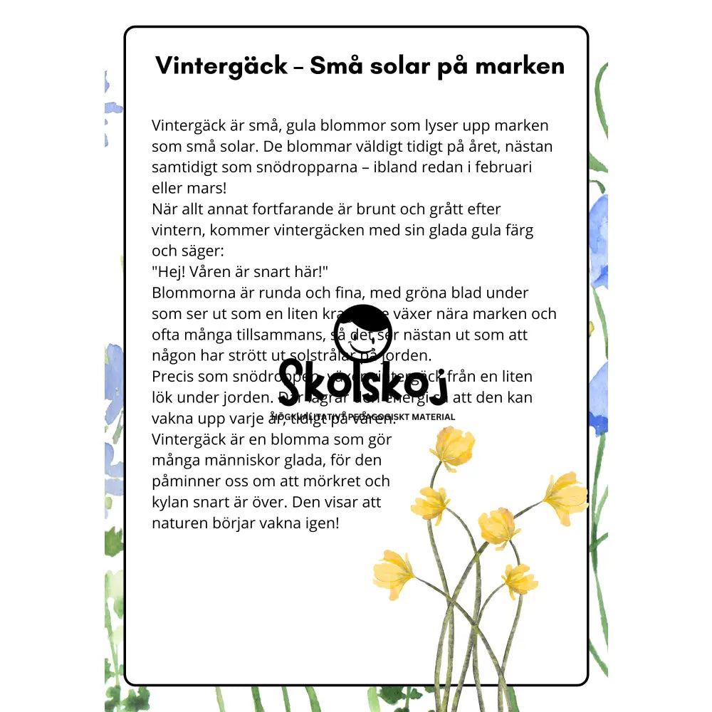 Vårens och sommarens blommor