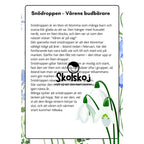 Vårens och sommarens blommor