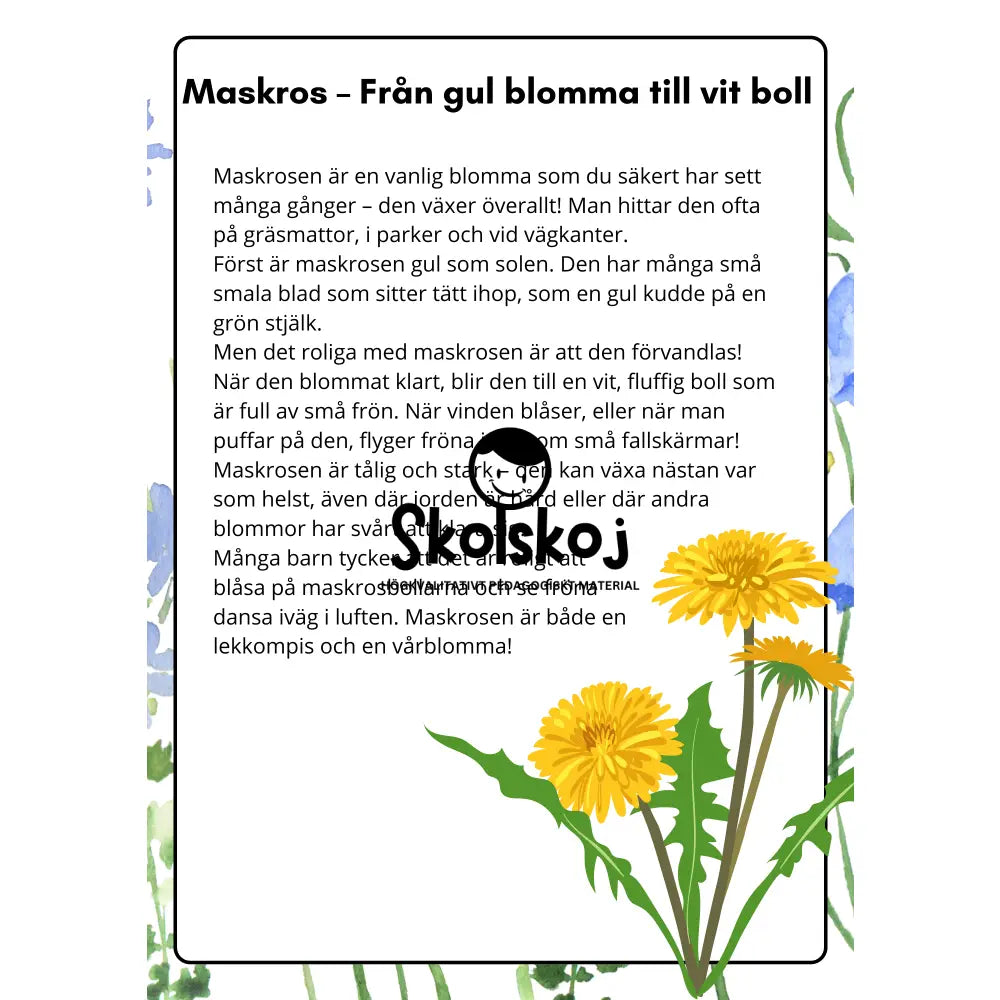 Vårens och sommarens blommor