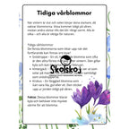 Vårens och sommarens blommor