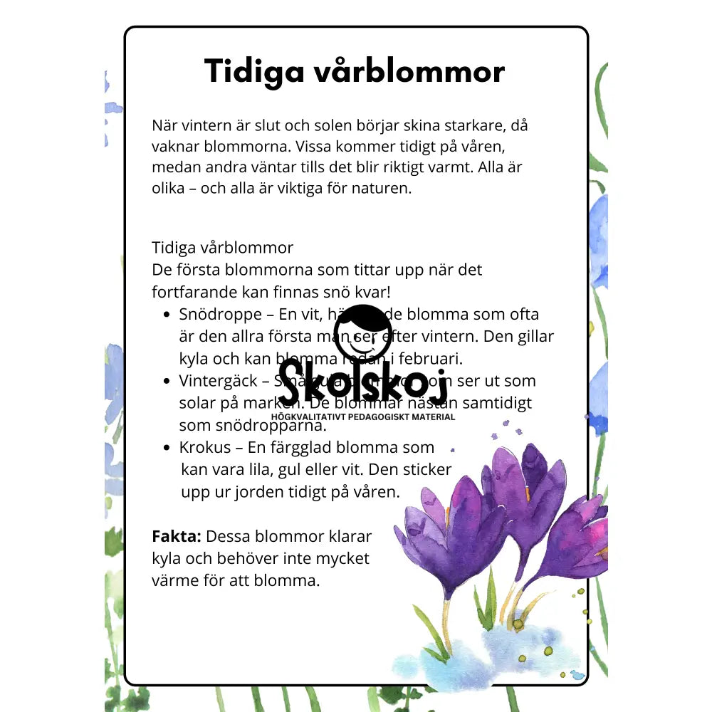 Vårens och sommarens blommor