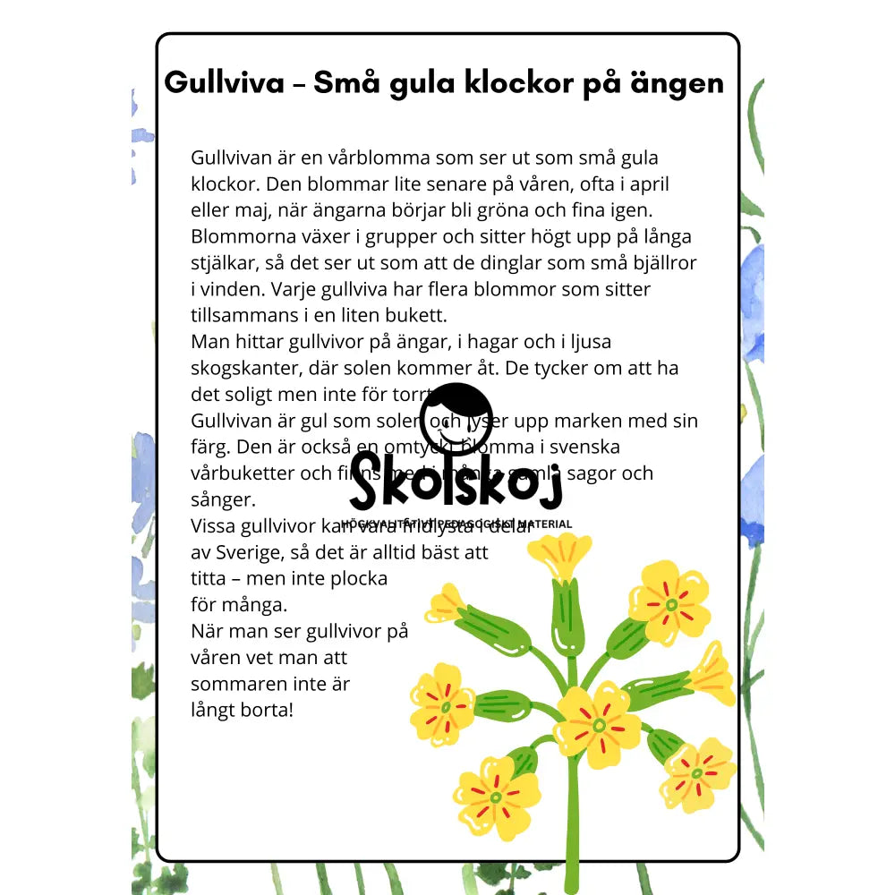 Vårens och sommarens blommor