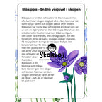 Vårens och sommarens blommor