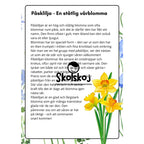Vårens och sommarens blommor