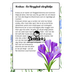 Vårens och sommarens blommor