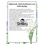 Vårens och sommarens blommor