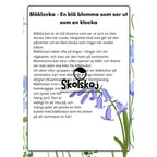 Vårens och sommarens blommor