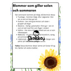 Vårens och sommarens blommor
