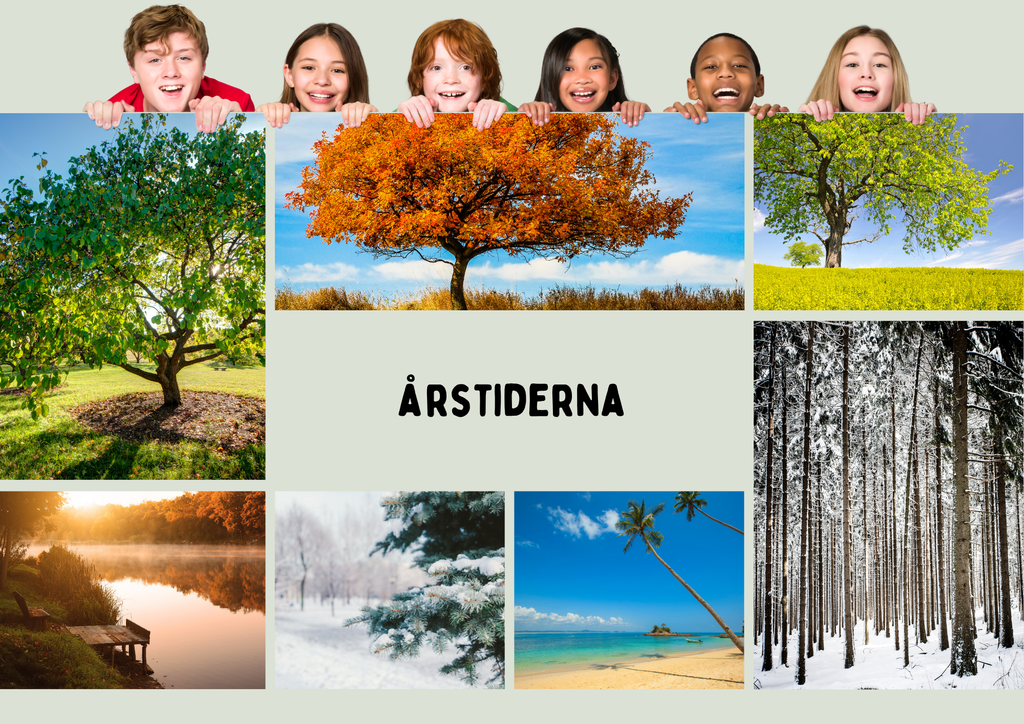 Årstiderna - Presentation och lek