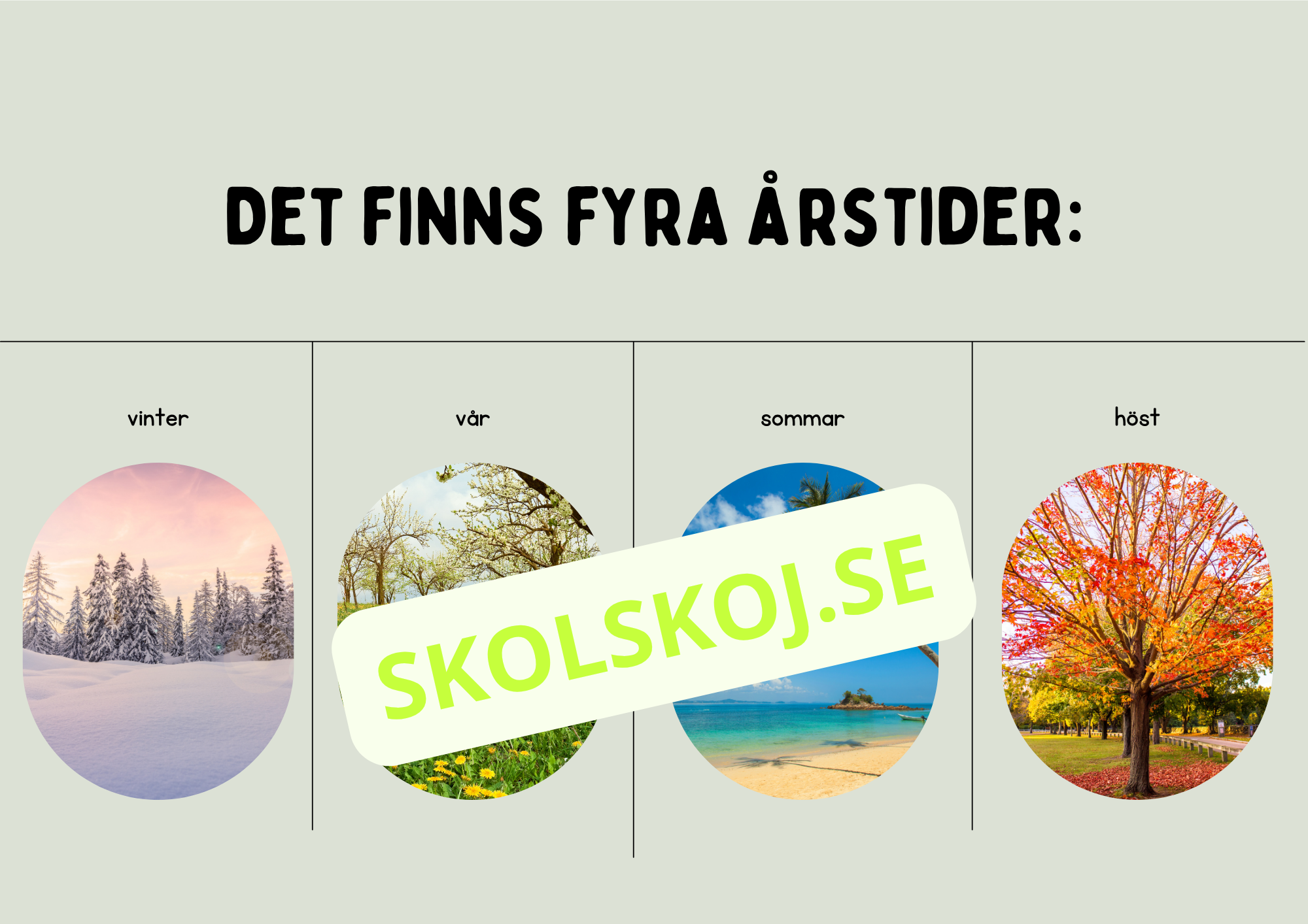 Årstiderna - Presentation och lek