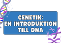 Genetik - En introduktion till DNA - Årskurs 7 - 9